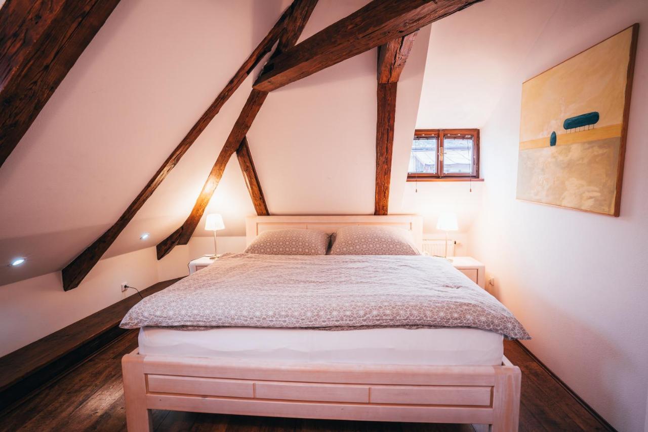 Designer Loft Apartment Cesky Krumlov Bagian luar foto